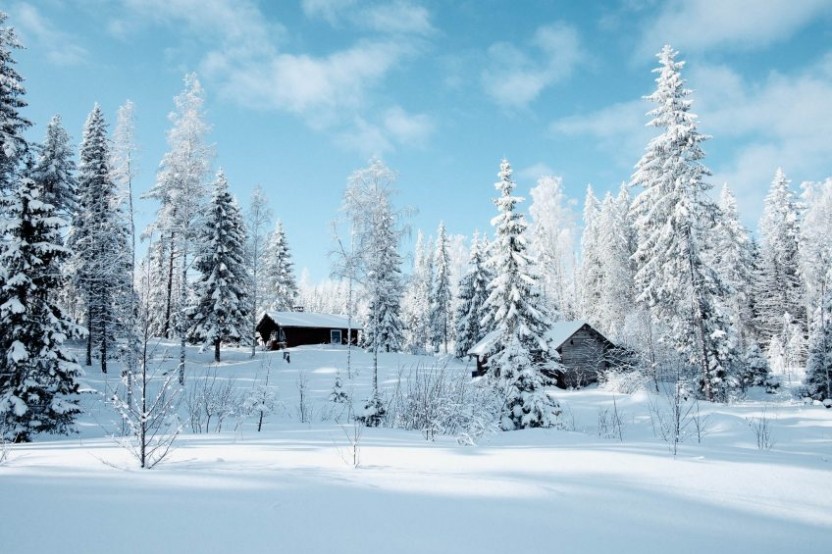 En snöklädd liten stuga bland snötäckta träd
